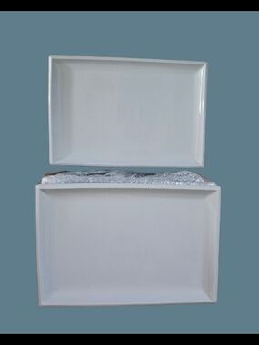 *Simple Dining Individual Dining/Sushi Trays Set Of 5